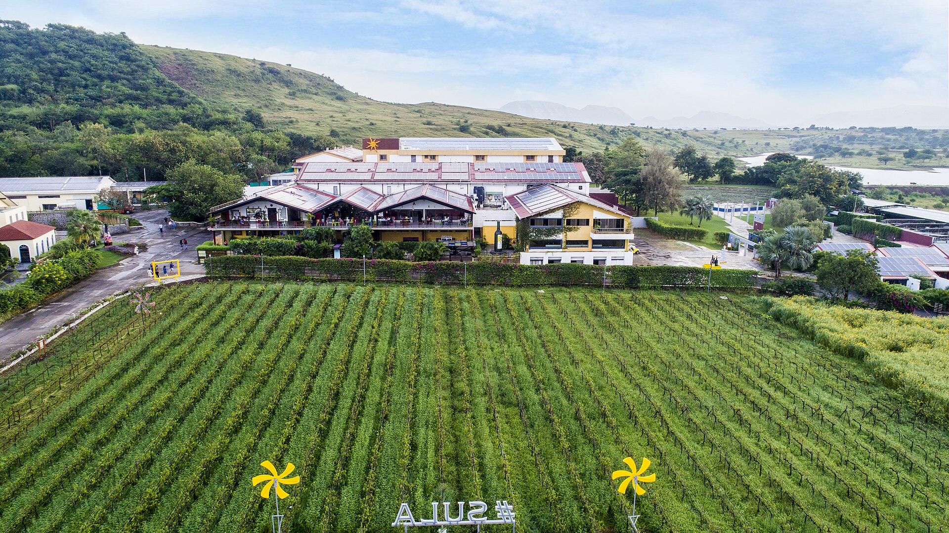 A view across the Sula vineyards