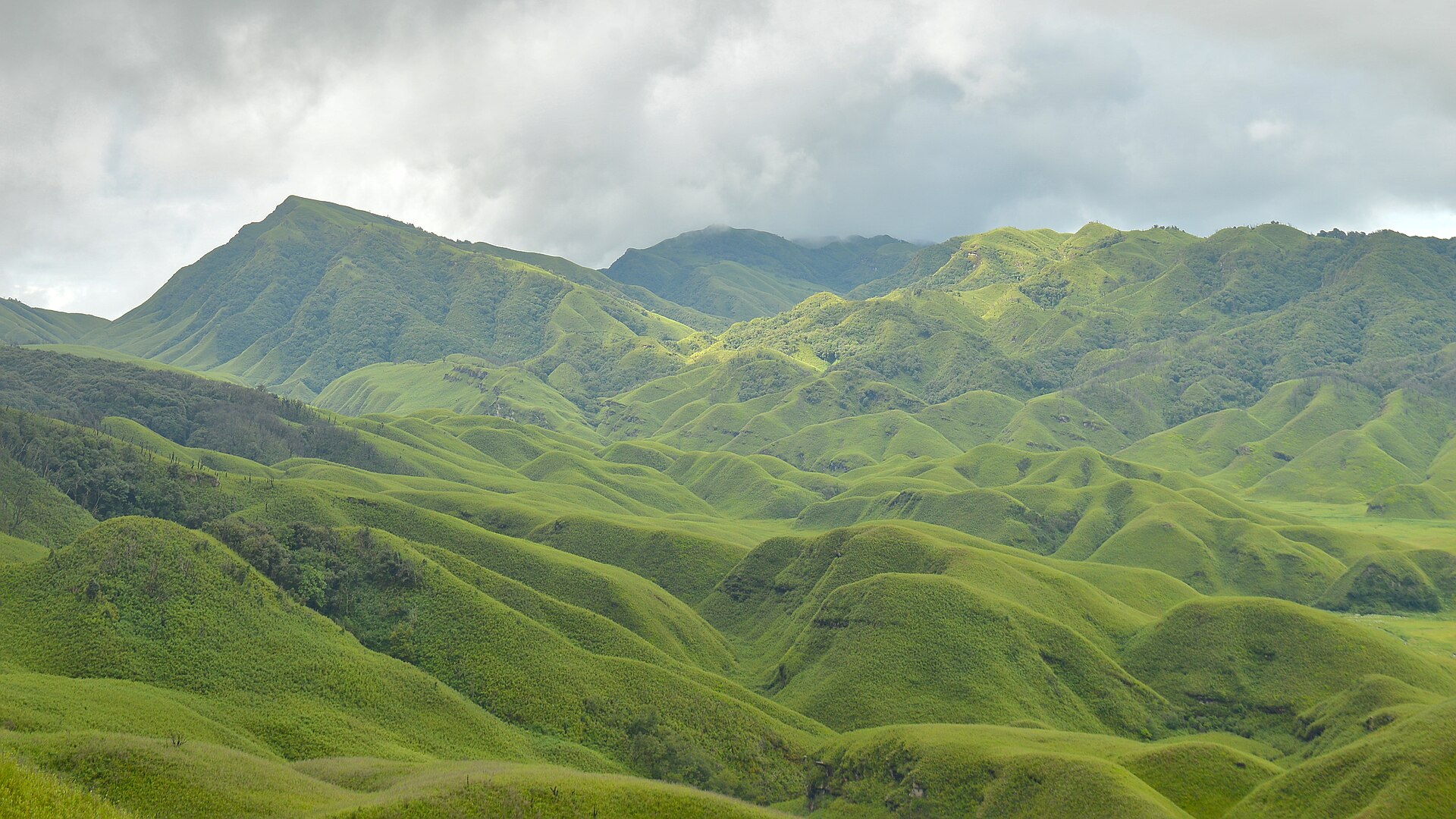 The Dzukou valley on the Nagaland–Manipur border