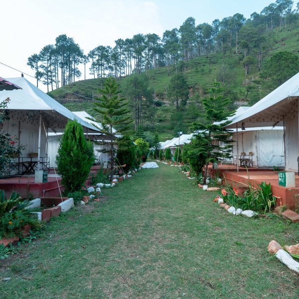 Best Resorts in Barkot for Yamunotri Yatra Base