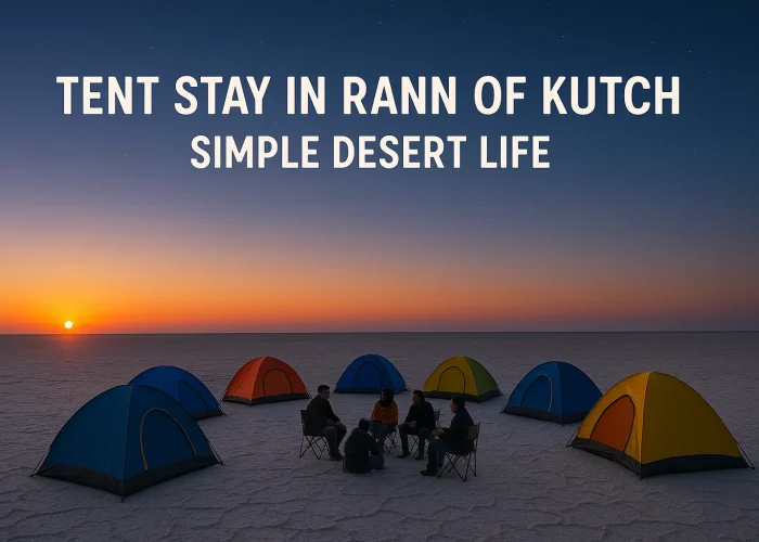 Tent Stay in Rann of Kutch