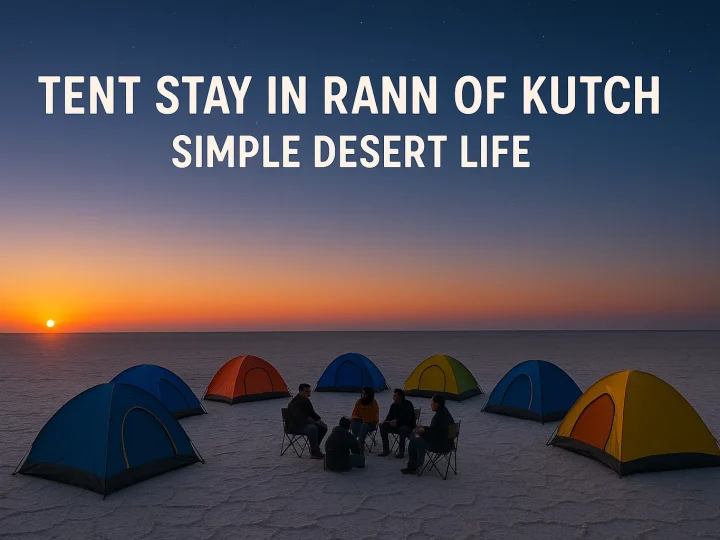 Tent Stay in Rann of Kutch