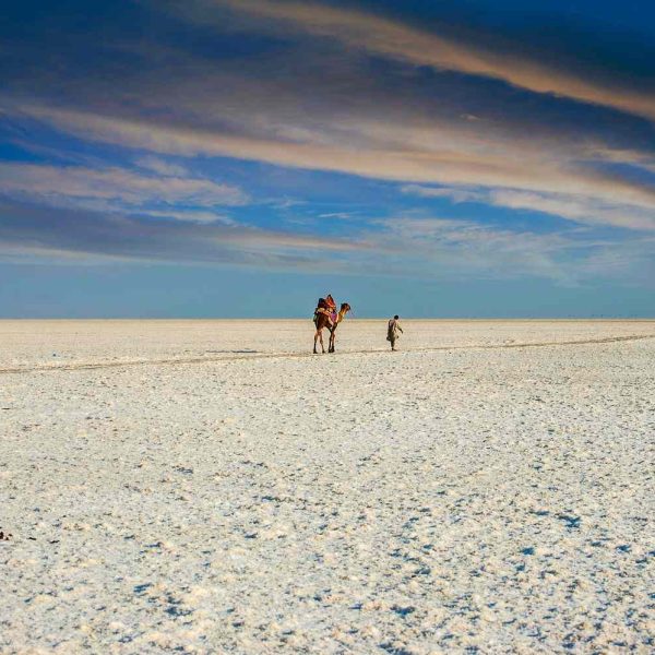 Rann of Kutch