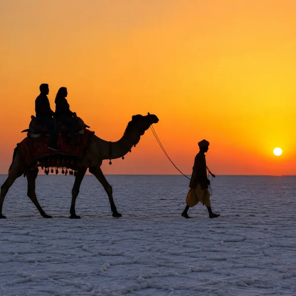 Camel ride during kutch desert safari at Rann Utsav at sunset