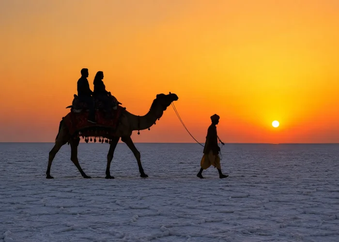 Camel ride during kutch desert safari at Rann Utsav at sunset