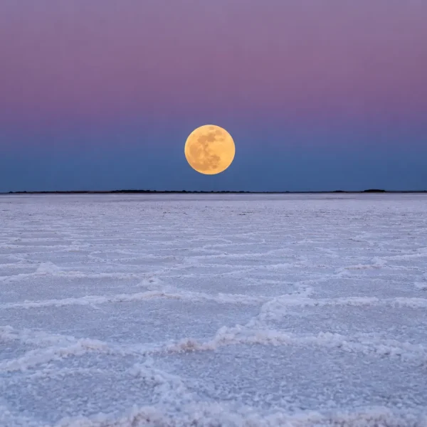 Full moon rising over the white salt desert at Rann of Kutch