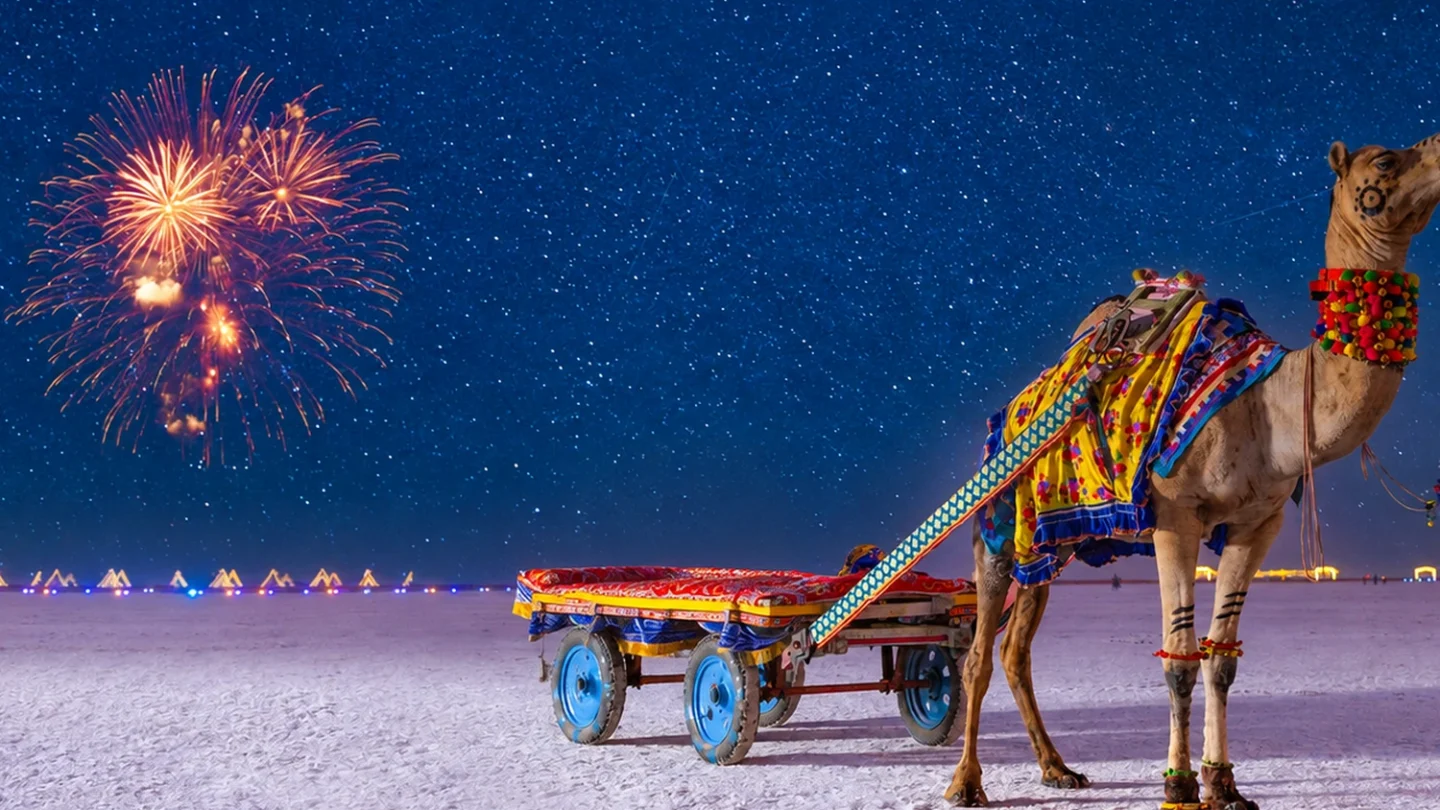 rann utsav new year