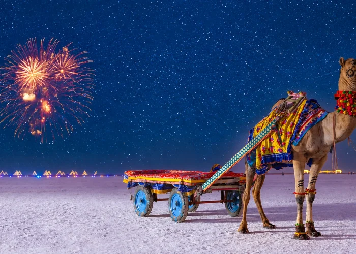 rann utsav new year