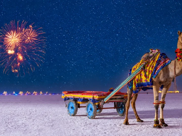 rann utsav new year