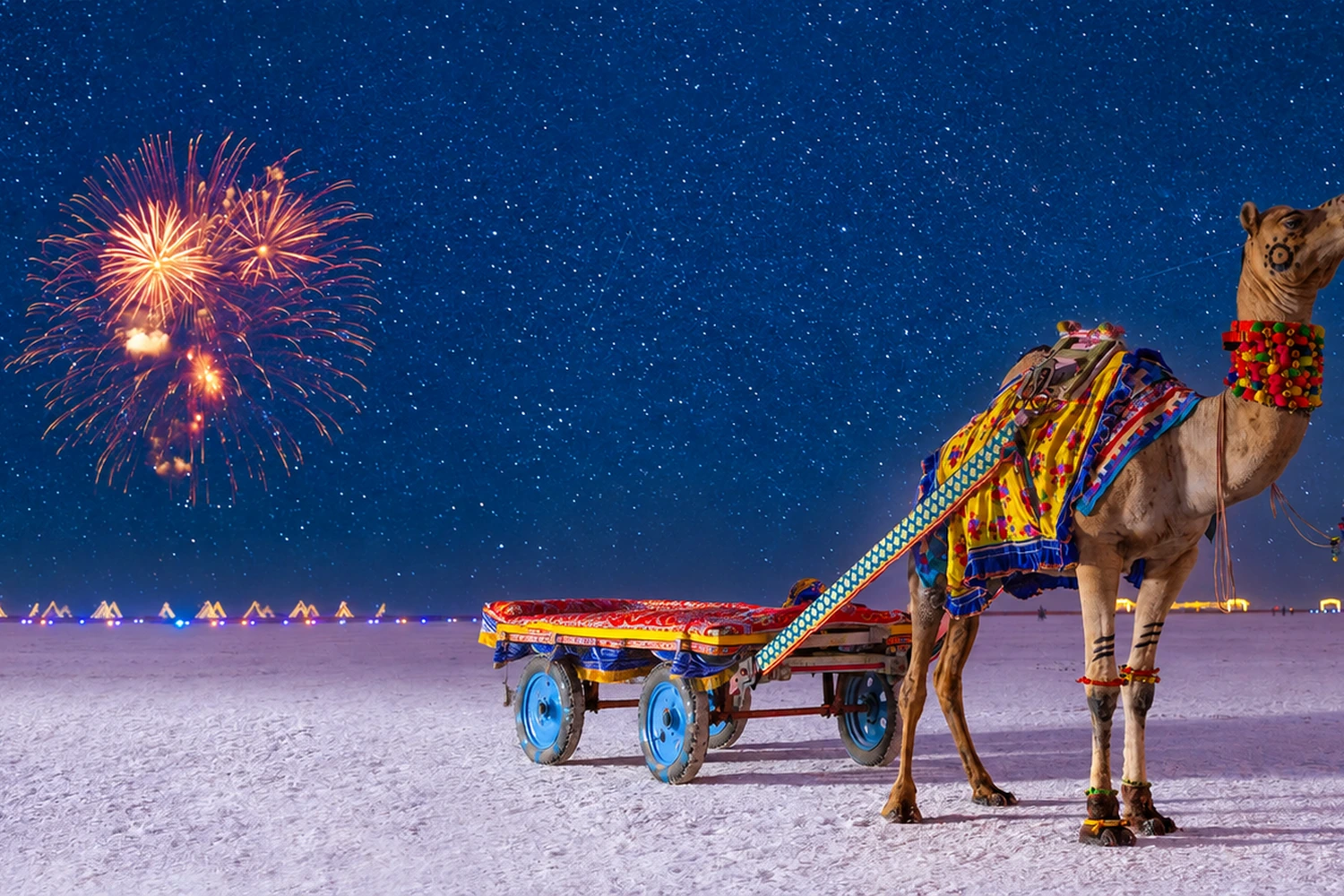 rann utsav new year rann utsav new year